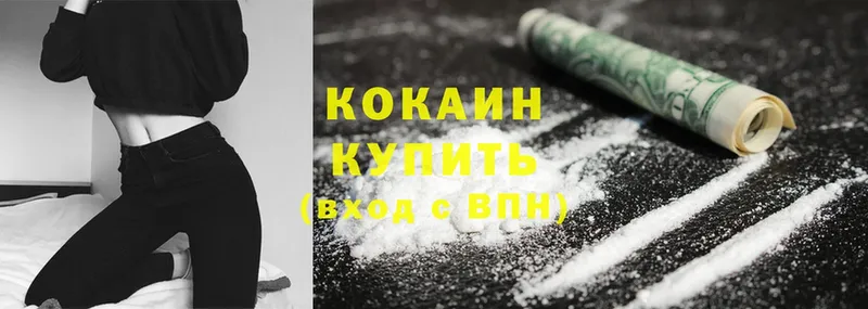 Где найти наркотики Каргополь Гашиш  Кодеин  Мефедрон  Cocaine 